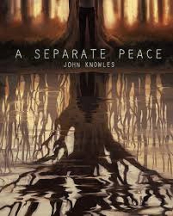 student-q-a-separate-peace-mary-wanser